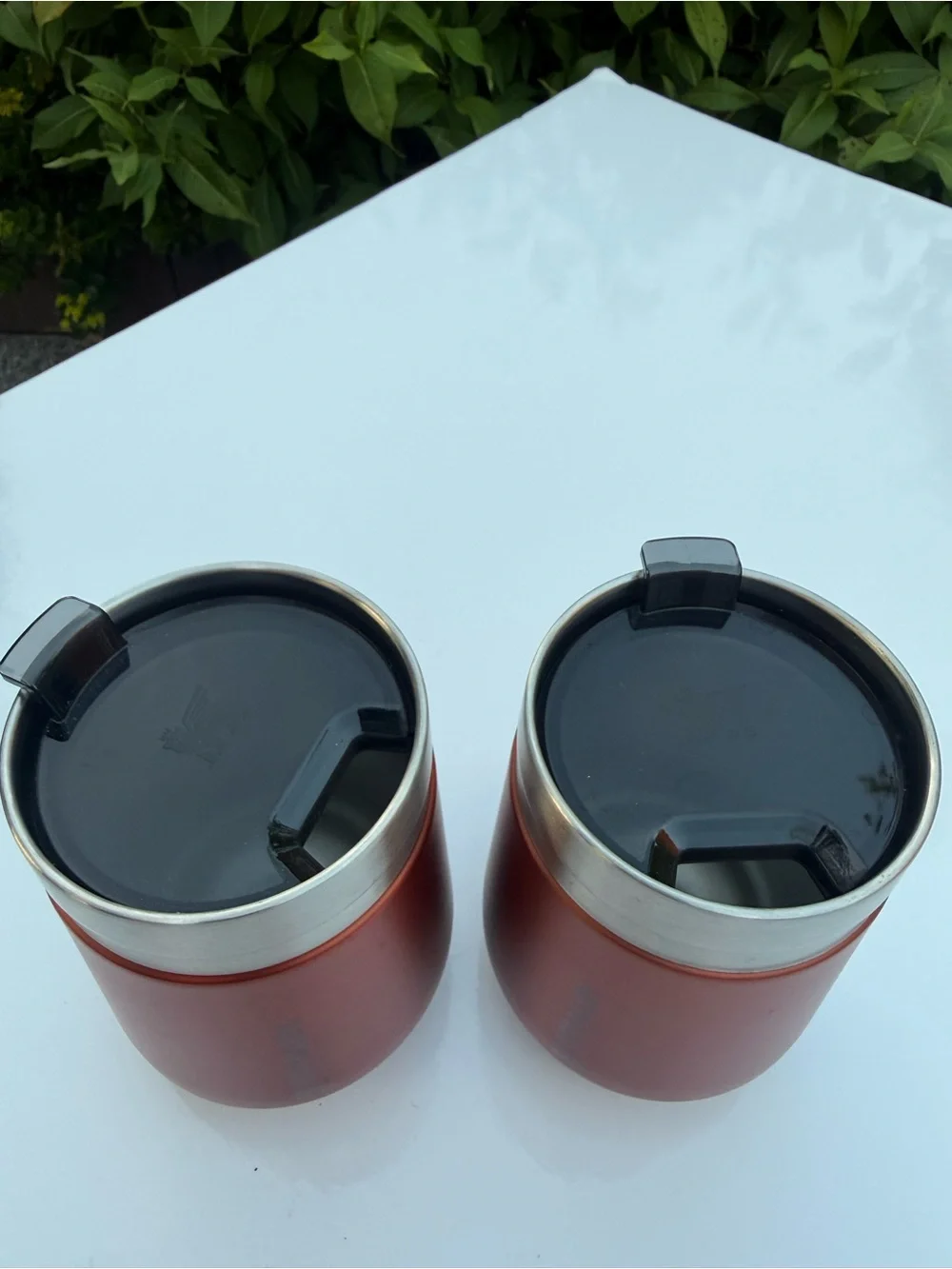 Set of 2 Stanley 10oz Wine Tumblers